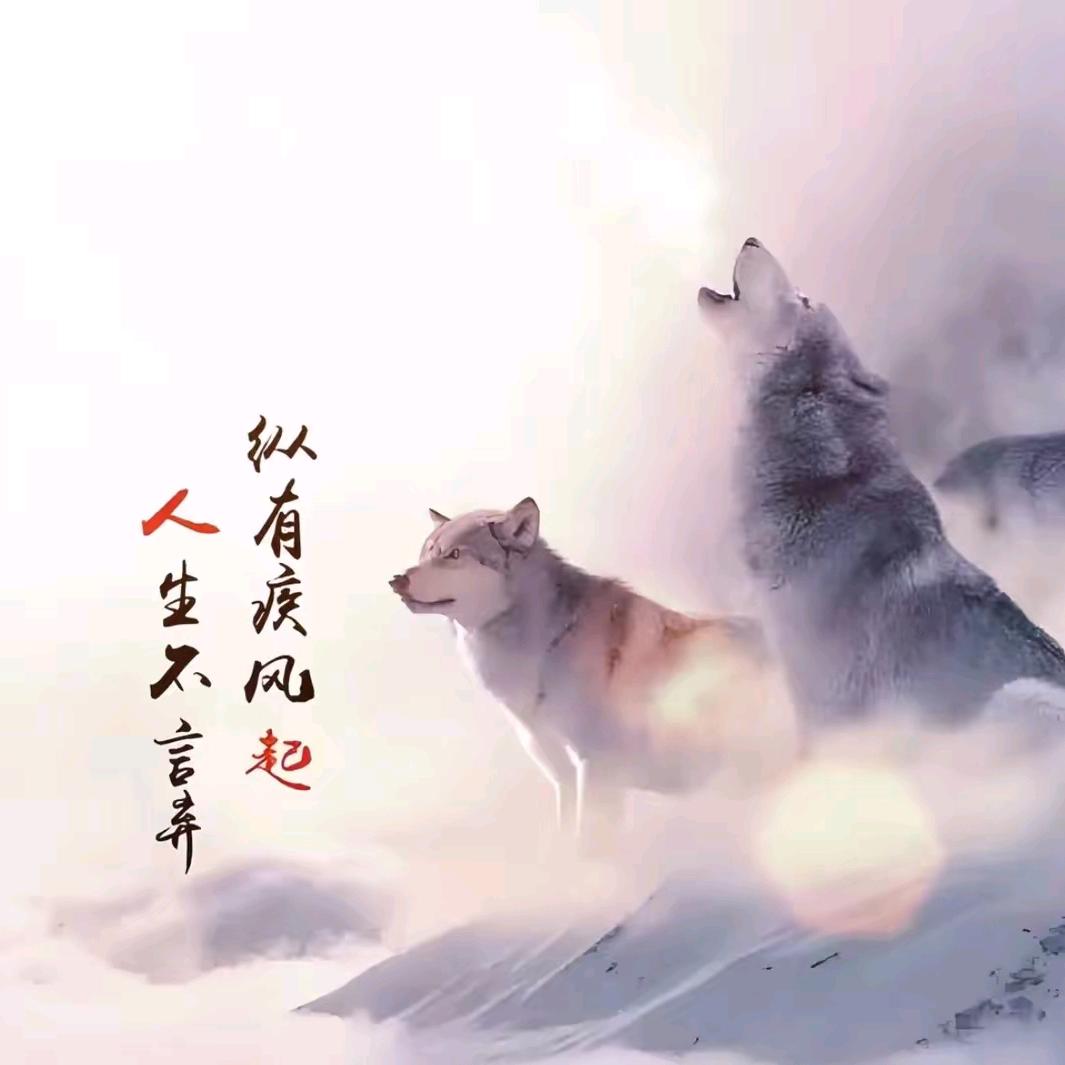 半圆