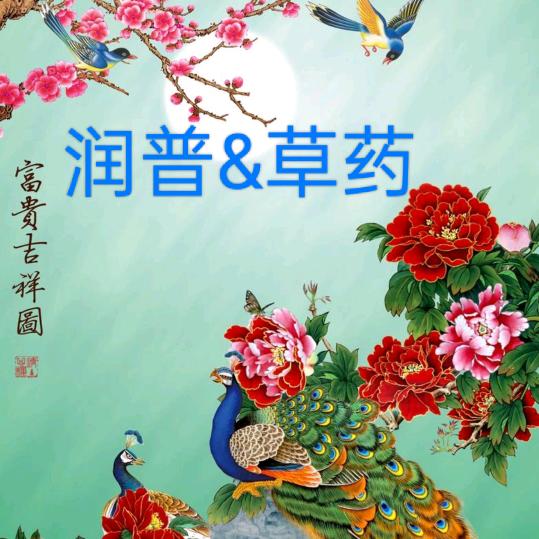 💥༺吉安乐队，李浩༻💥