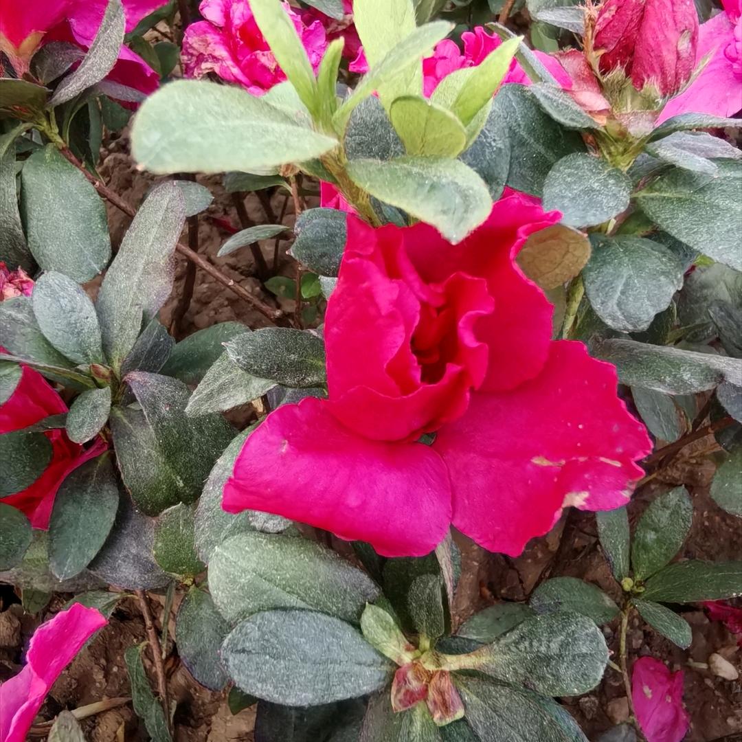 宝鸡日立中央空调-乐乐