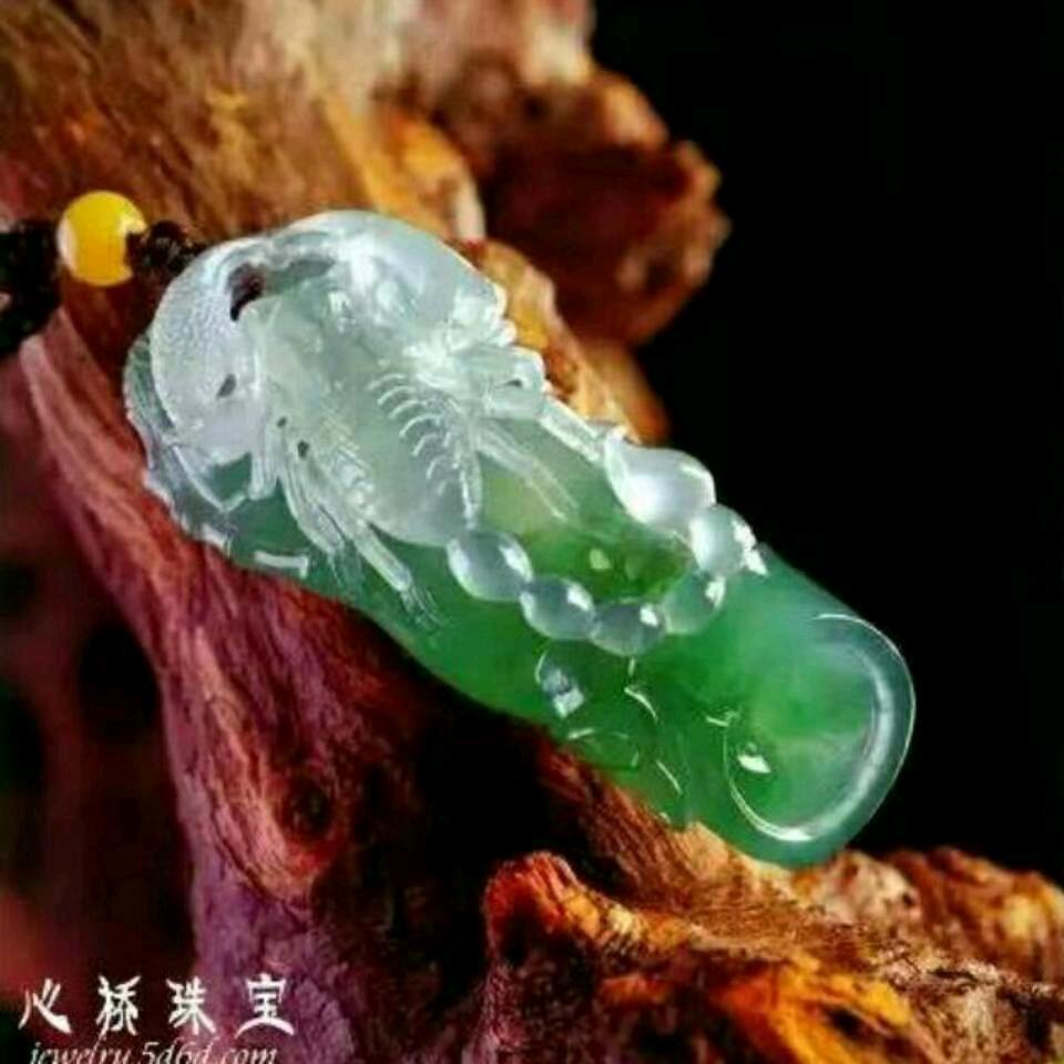 十八哥