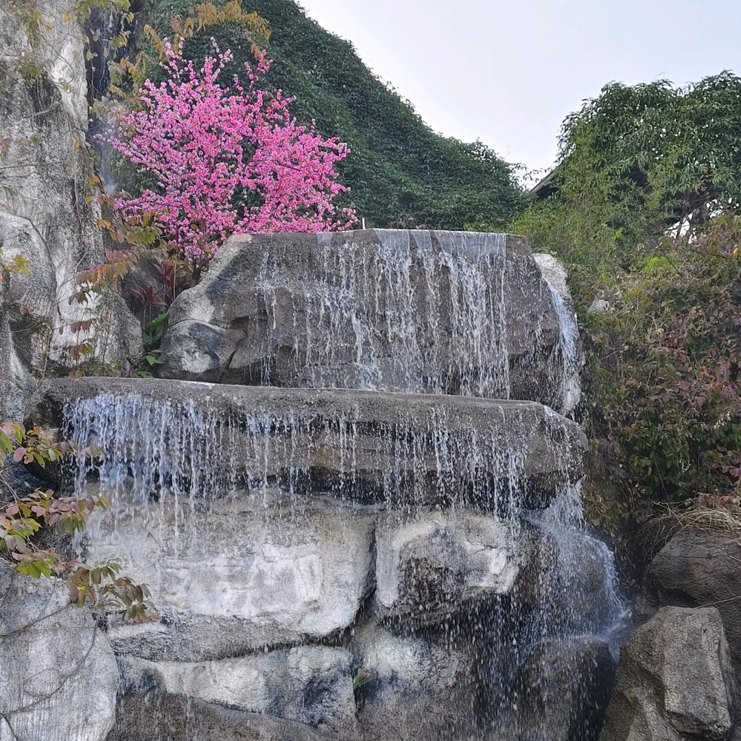 小黎