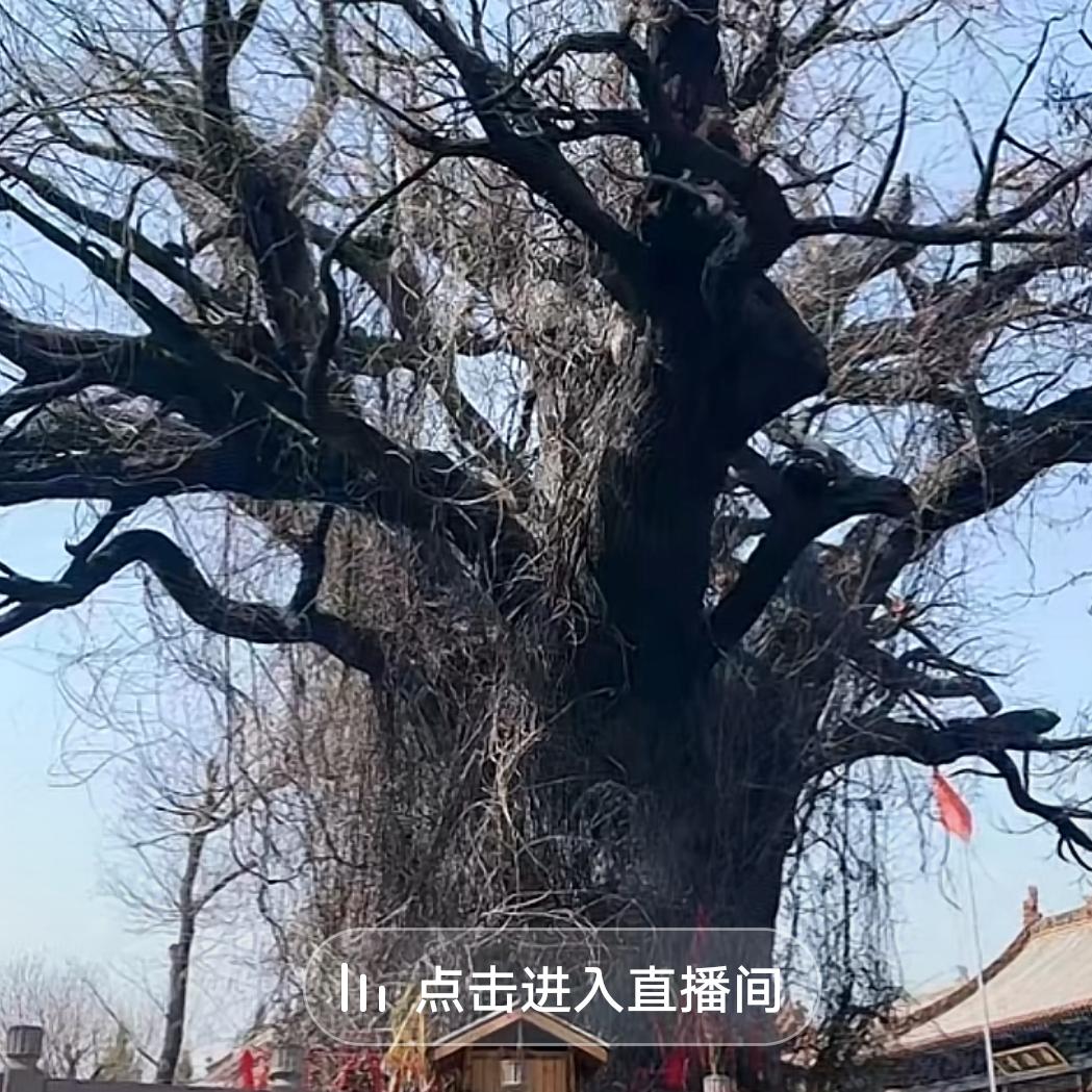 凤城电工