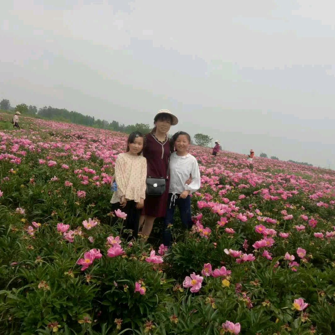 爱上欢乐
