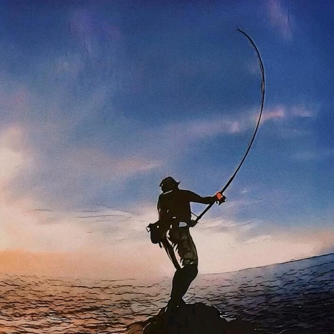 不空军的钓鱼佬