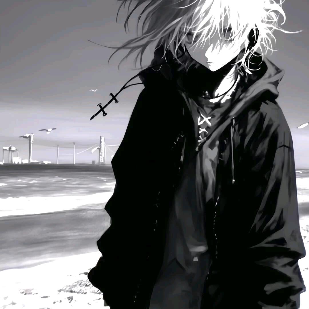 蝙蝠🦇
