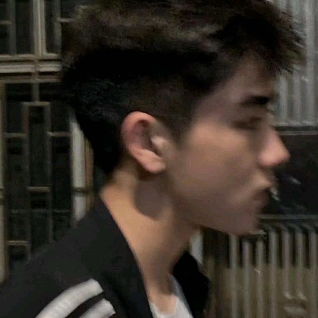 偷换概念的猫
