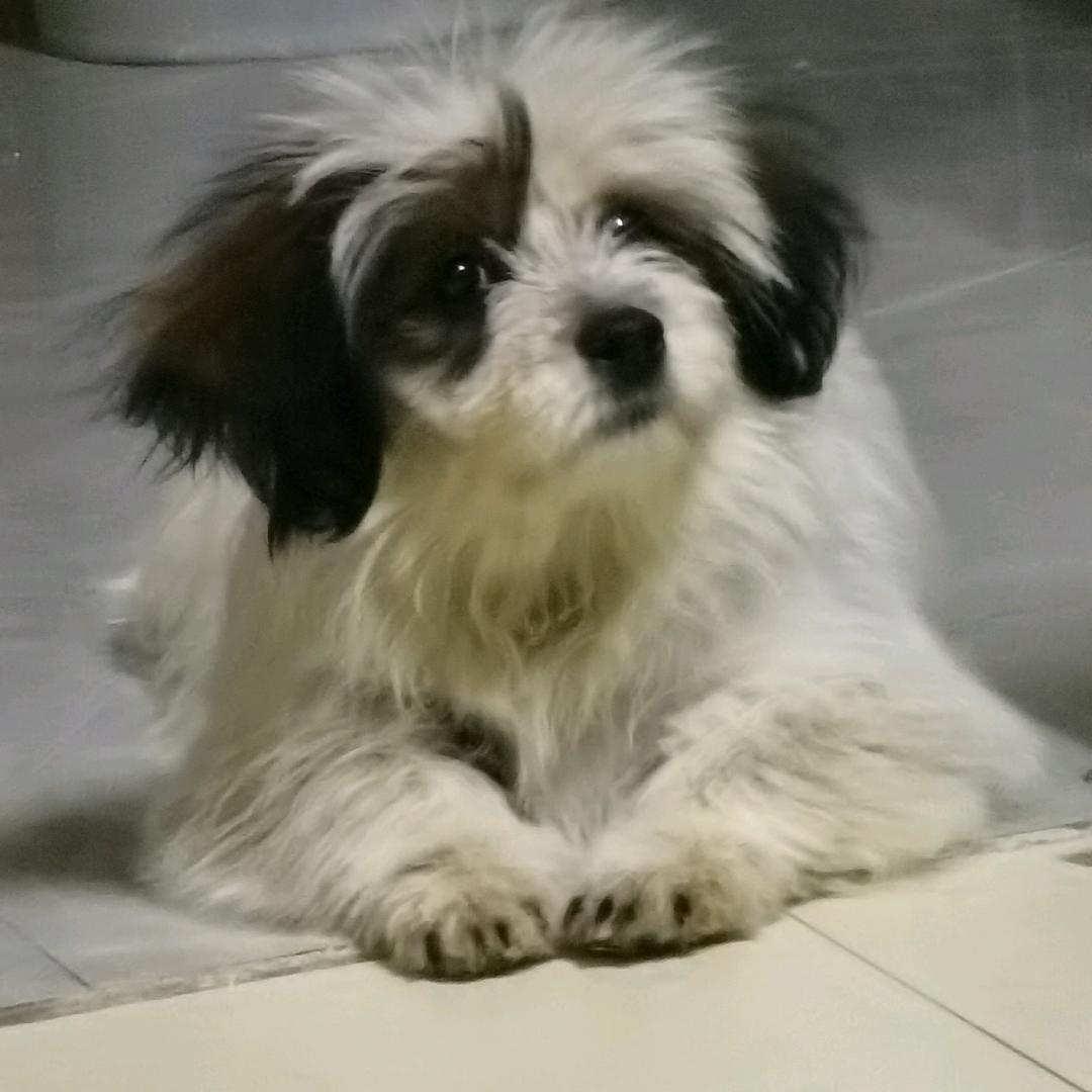 说点啥呢