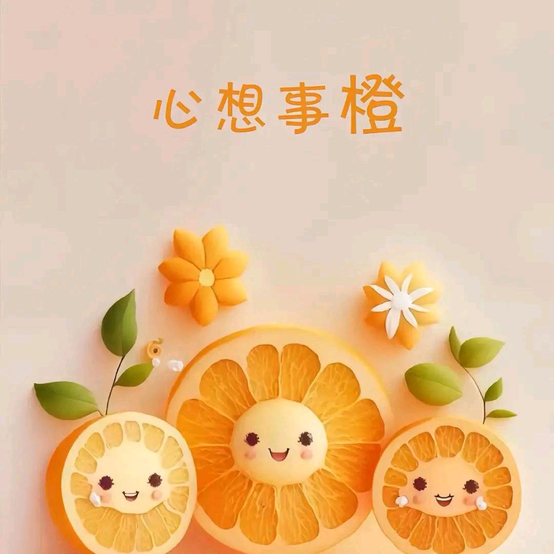 别惹我