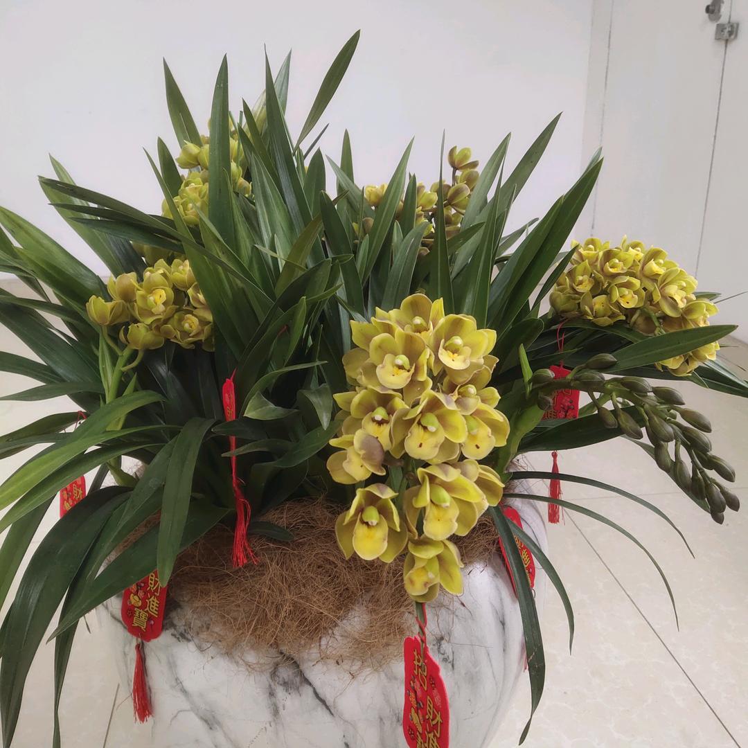 王