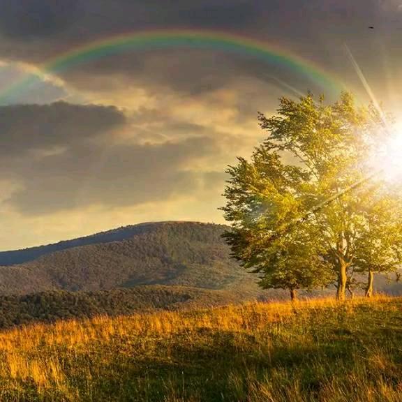 雨后的🌈彩虹哥