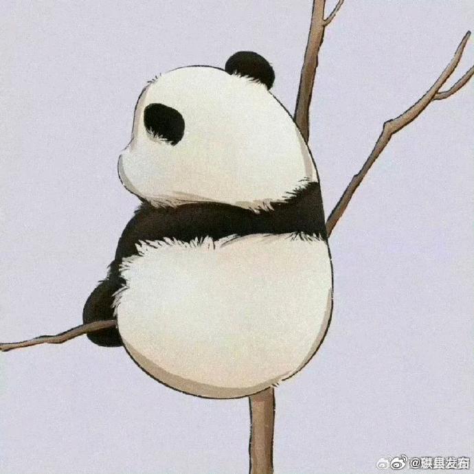 柠檬﹏