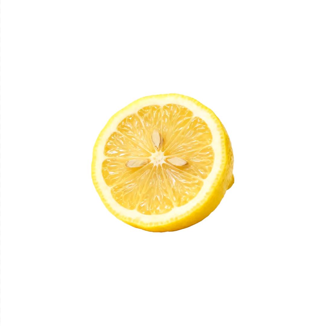 王嵩嵩