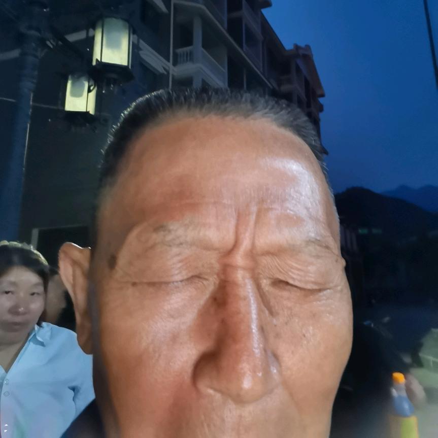槐荫树