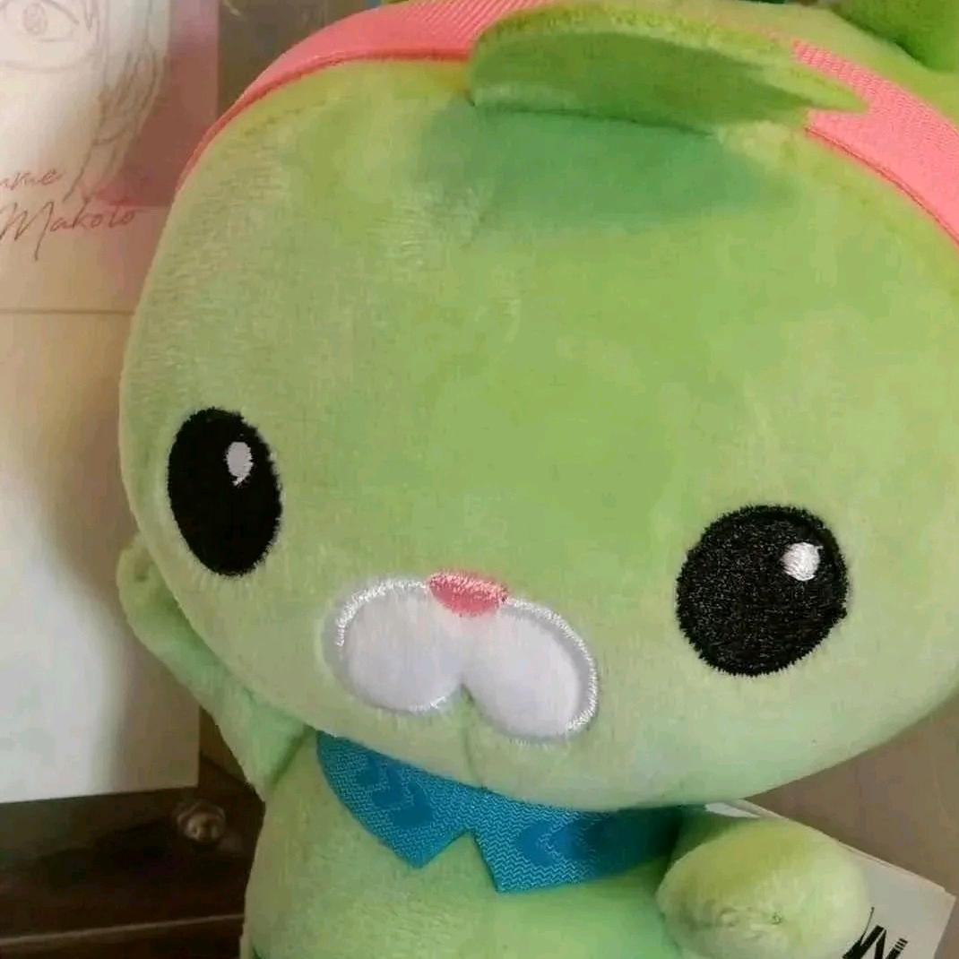 躲雨小猫