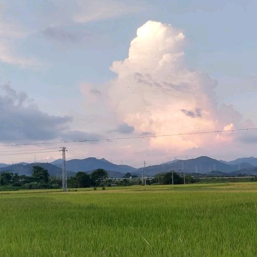 电风扇