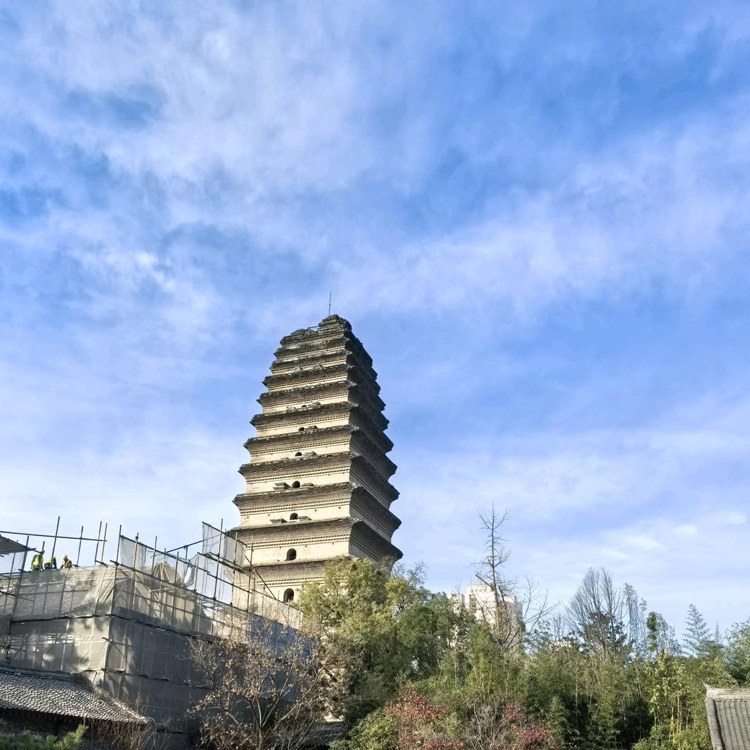 小九