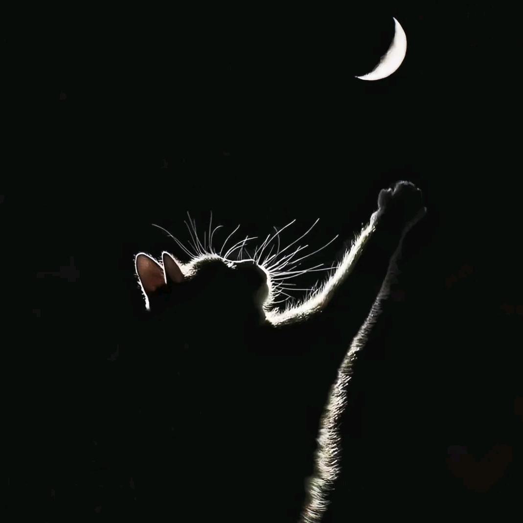 L   i   u（不爱吱声）