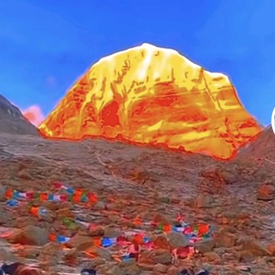 💫梦💫想💫成真💫💫💫