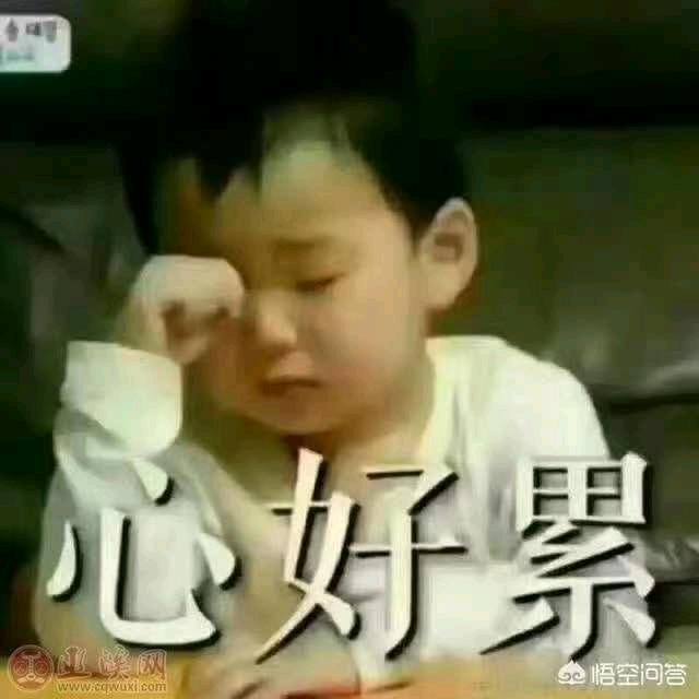 梦中看世界