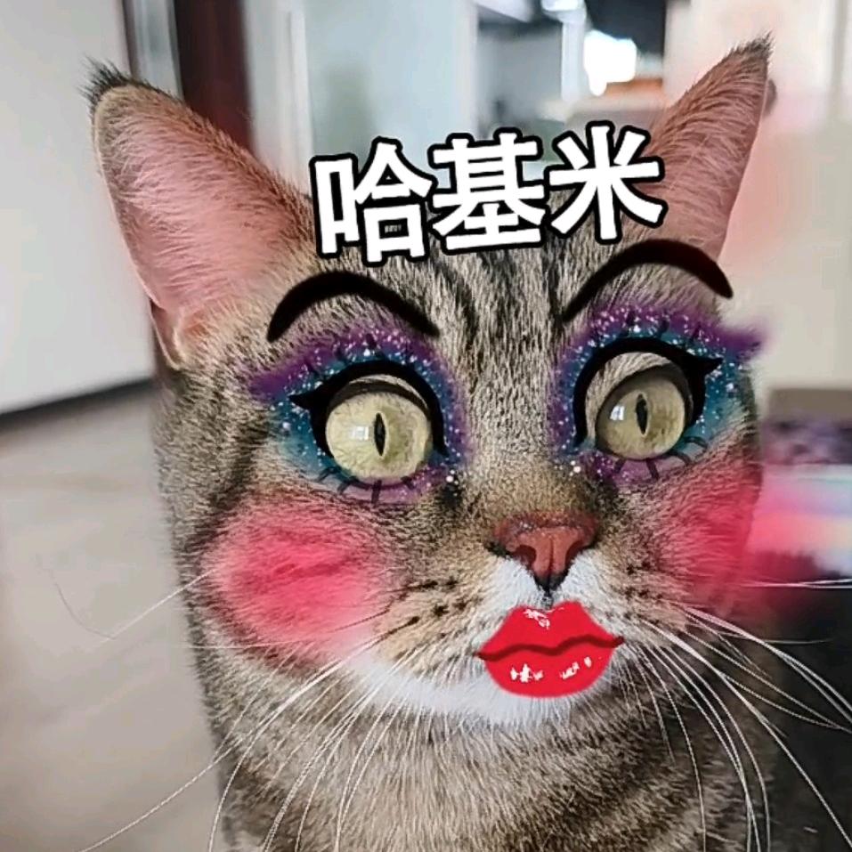 哈基喵