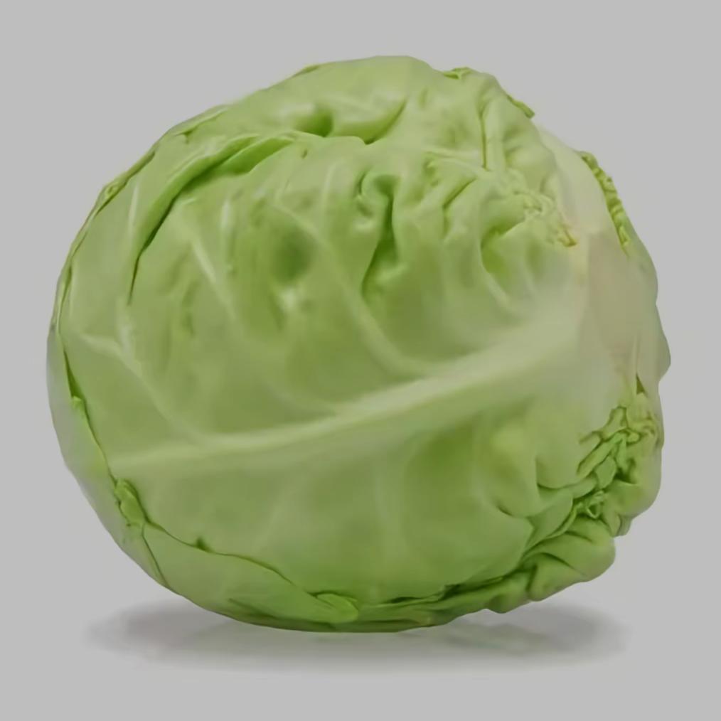 嚼嚼卷心菜