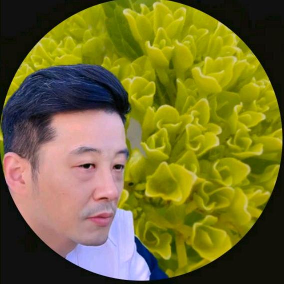 🍀《悟》❤️《缘》🍀