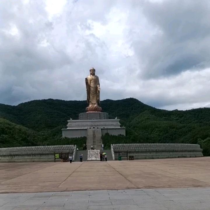 阳