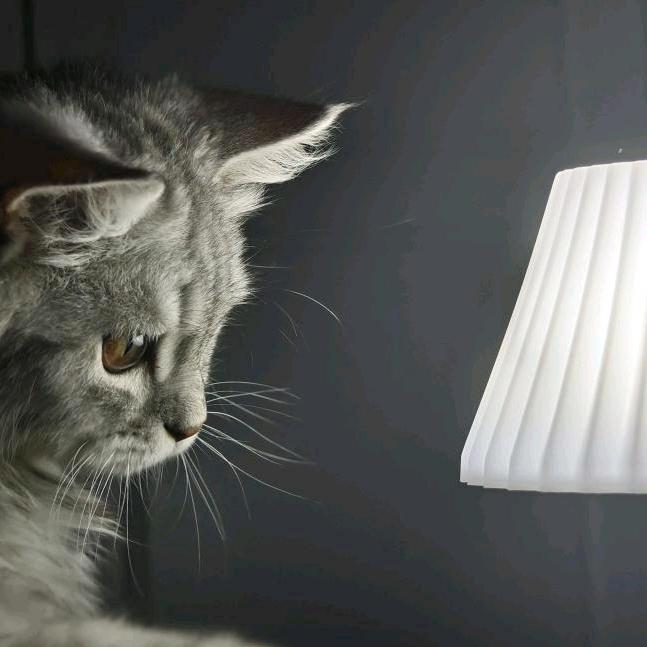 Gobylx（无畏契约）