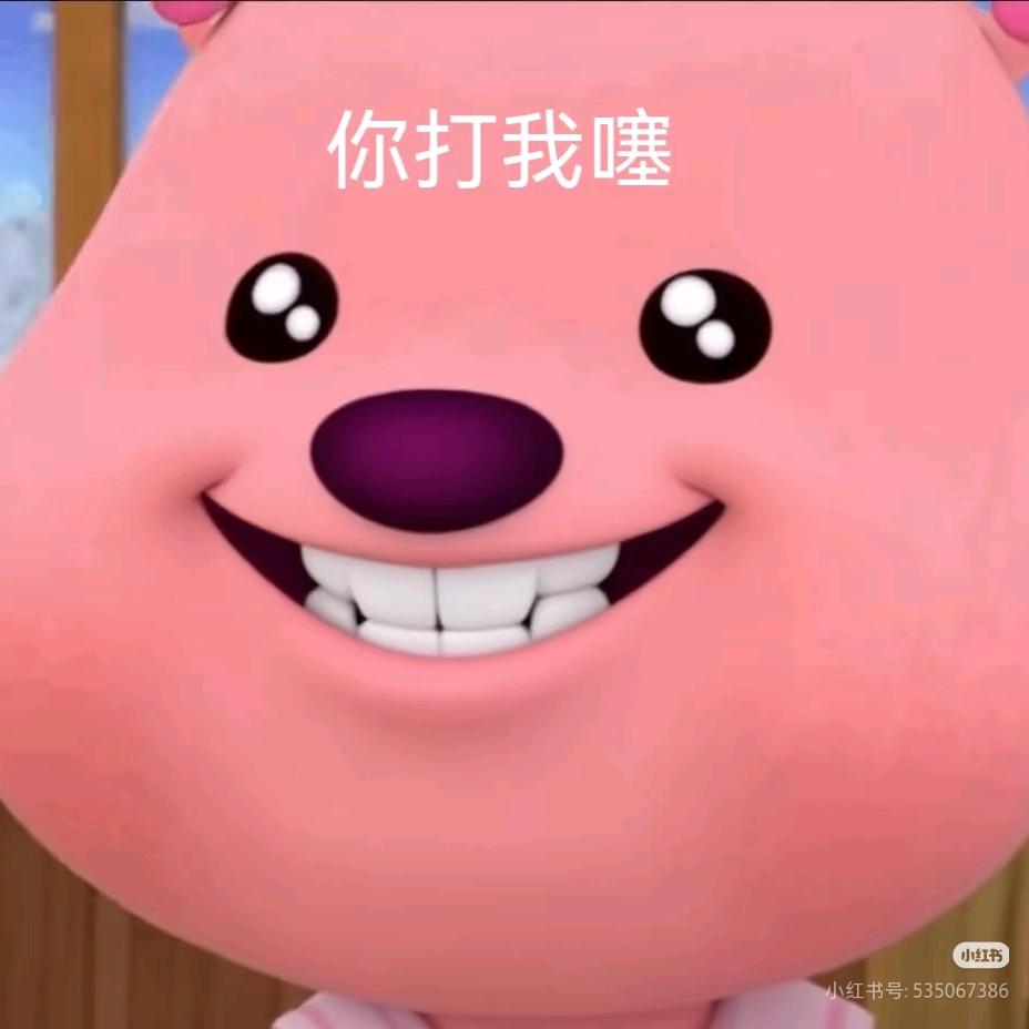 货拉拉拉不拉拉布拉多