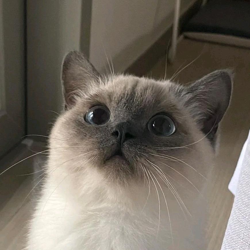 少佳好物