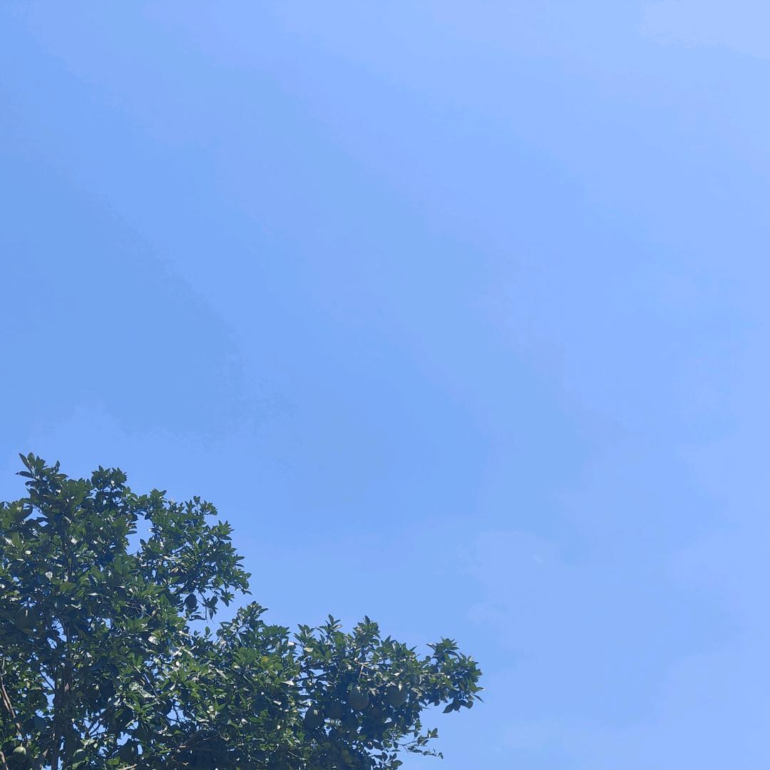 白水清