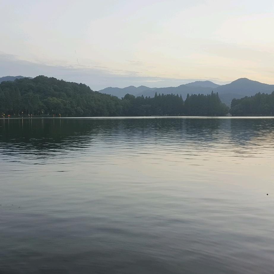 百茶清欢