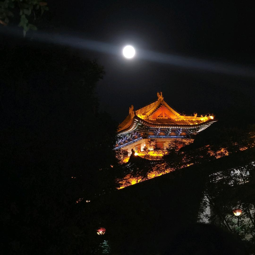 大海
