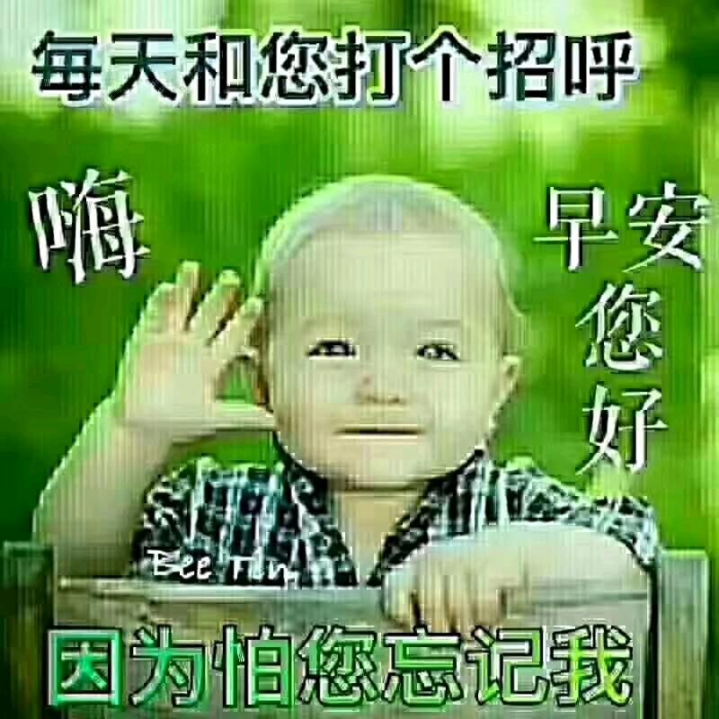 三百六十五天不洗头