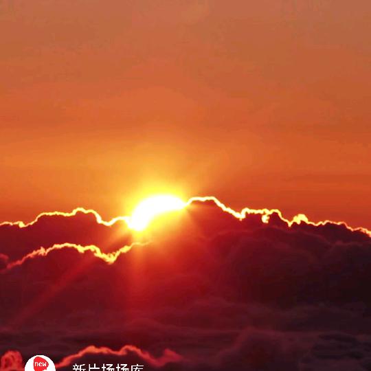 长情
