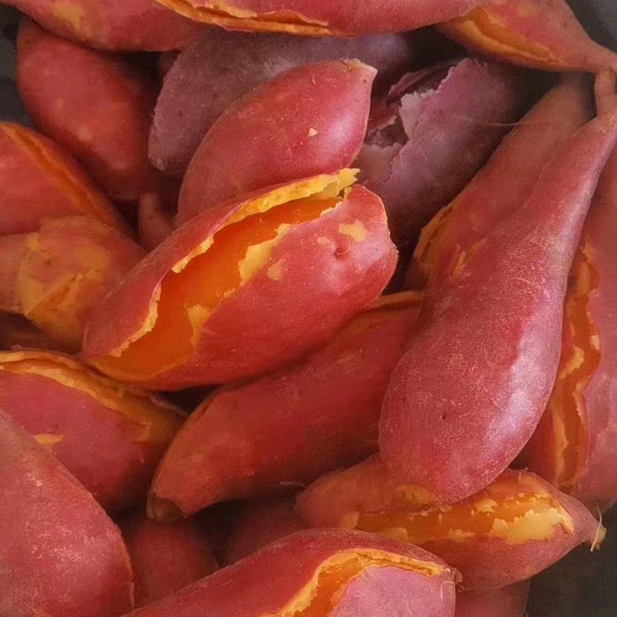 蜜薯🍠花生🥜产地直销发货。