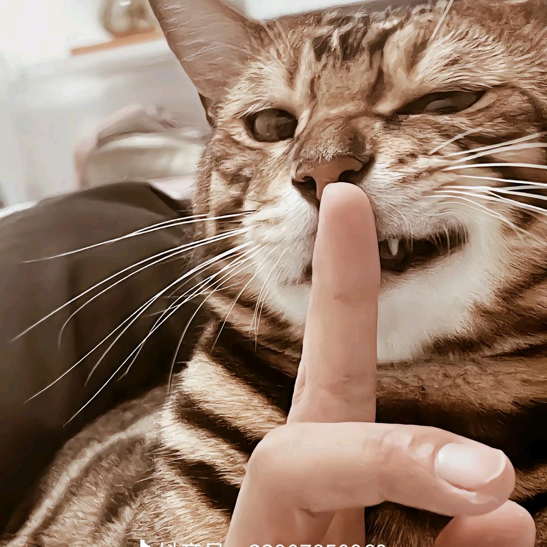 𝓼𝓮𝓪𝓼𝓮𝓪