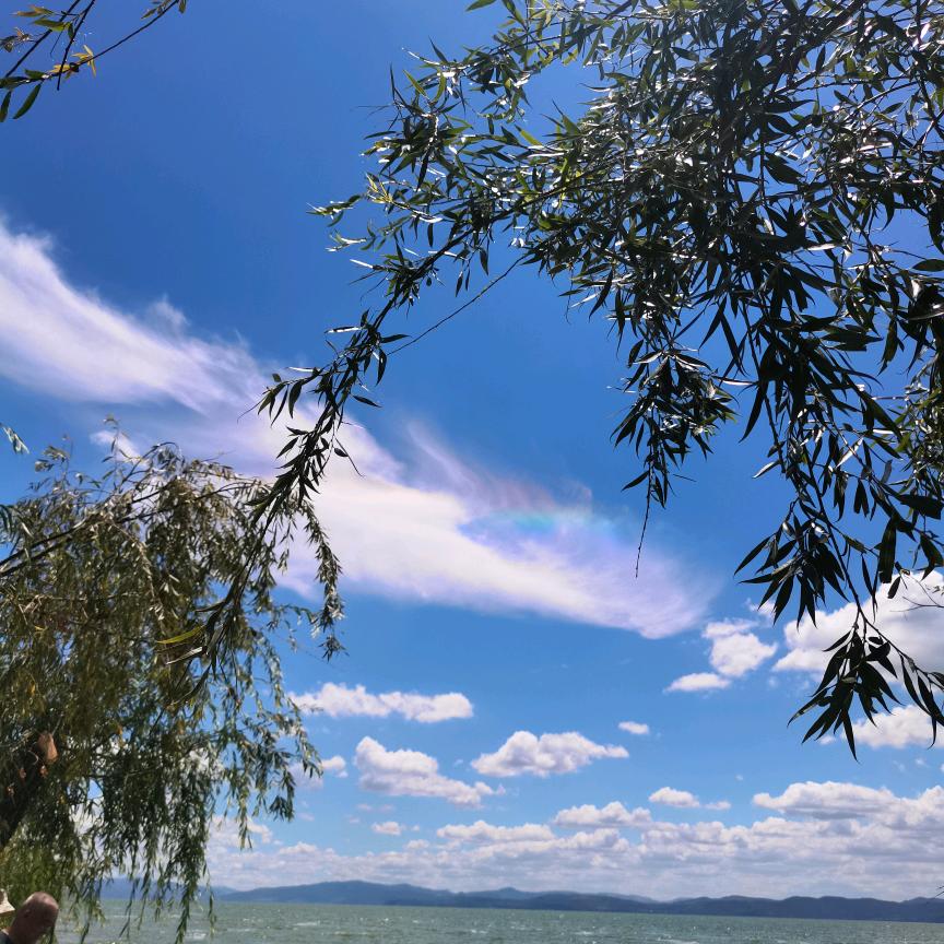 鸡公山伯爵