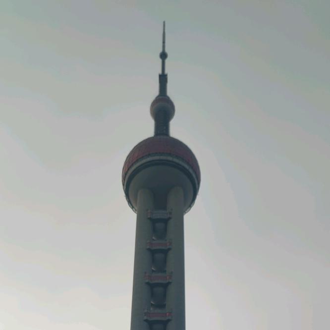 大海哥