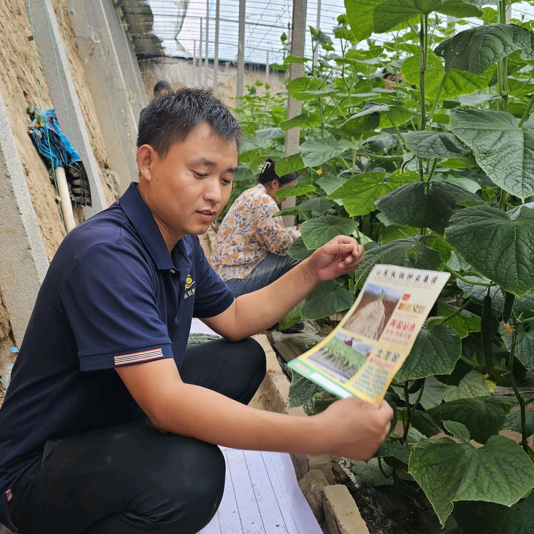 山东长恒种业集团有限公司