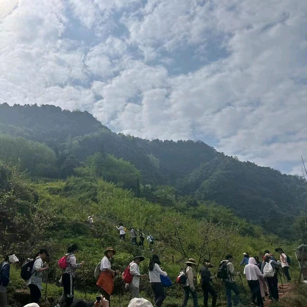 季禅沟农场主