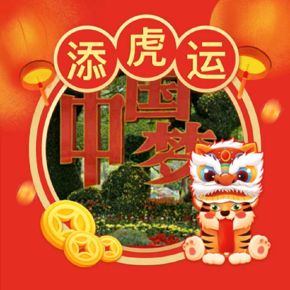 🚀🚀中国红狼🚀🚀