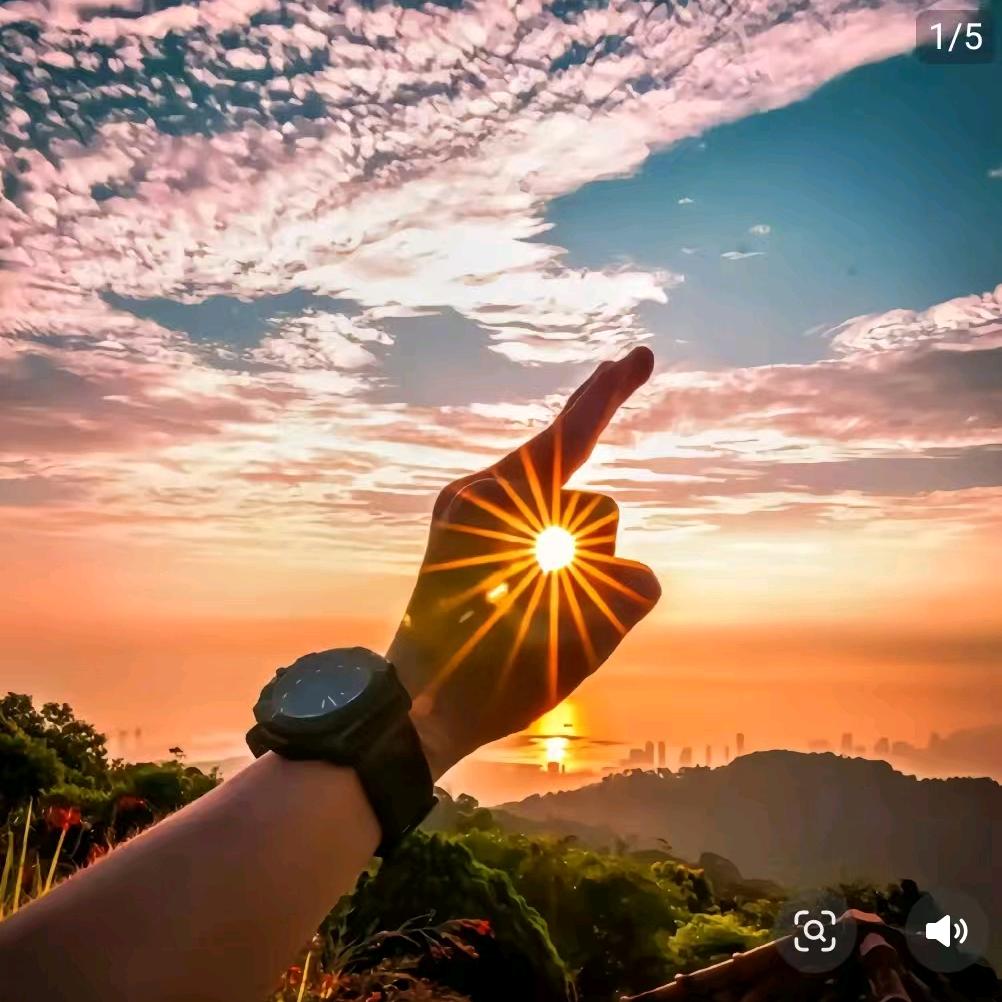 人生就是要没心没肺