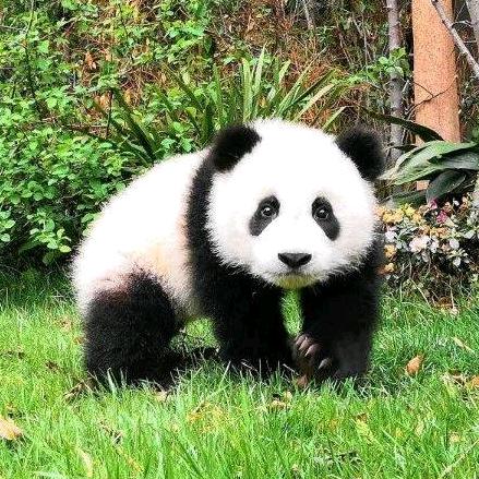 许仙
