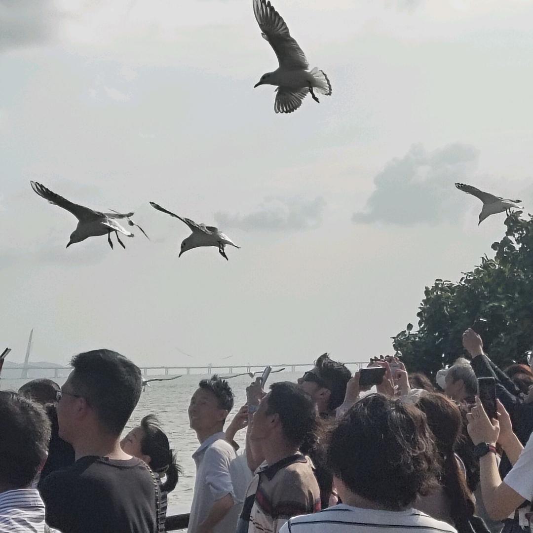 趁现在我还懂得
