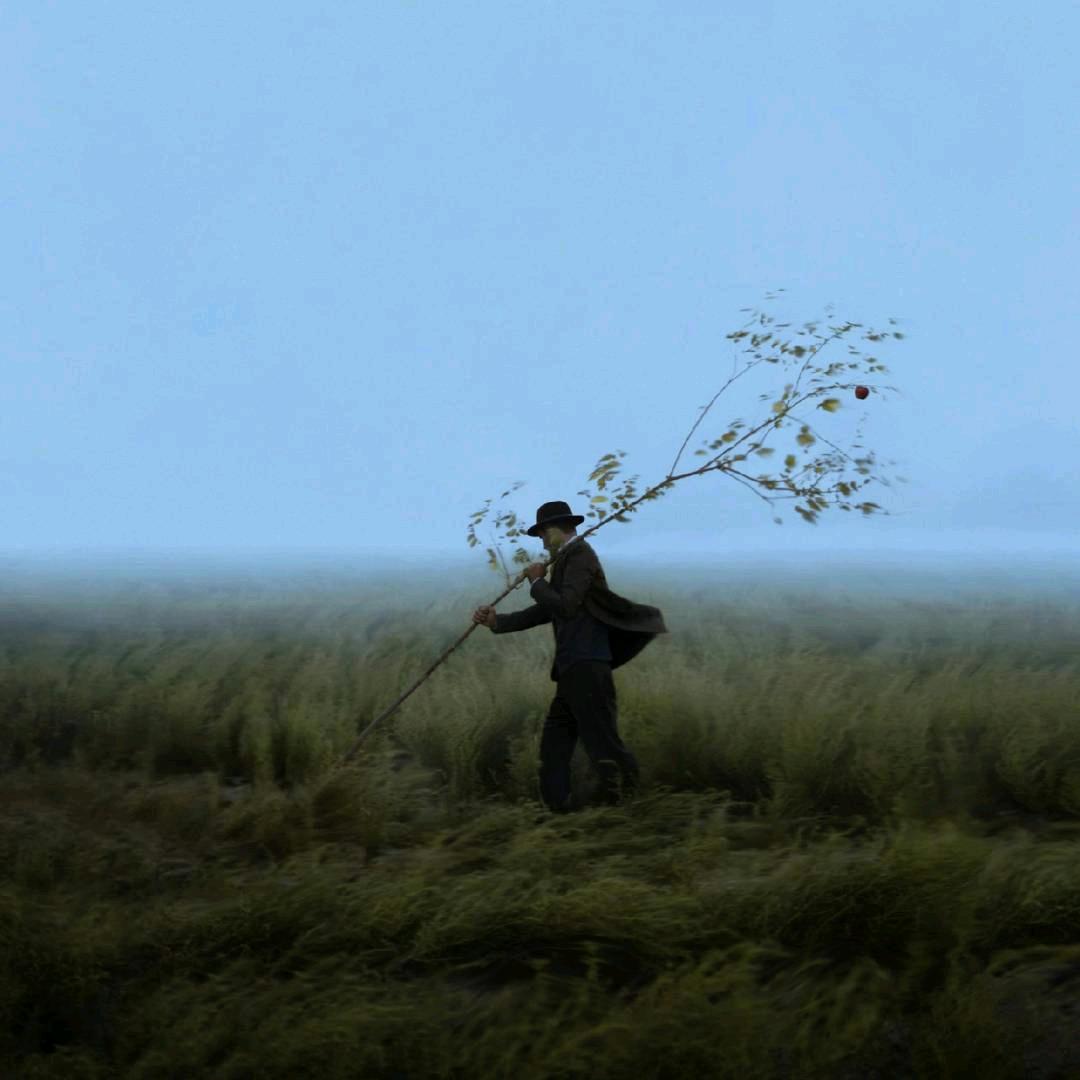 是焘不是涛