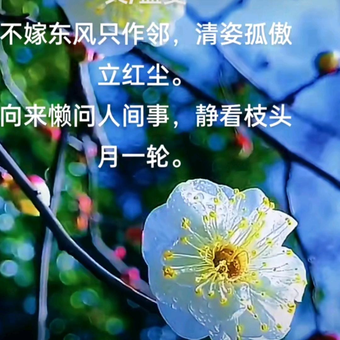 㝋静