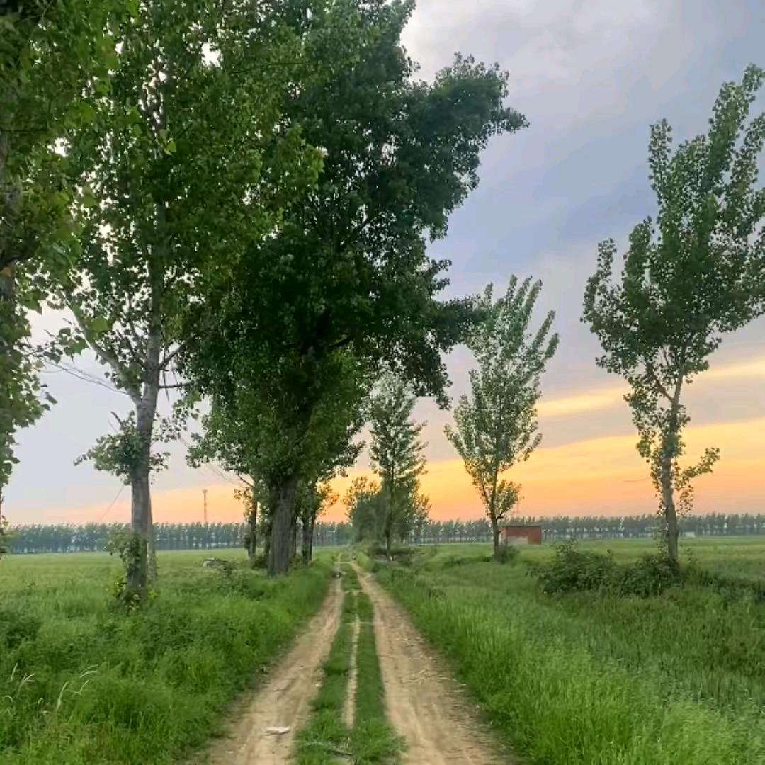 芳姐在农村。