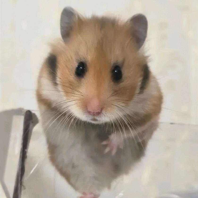 余生有你