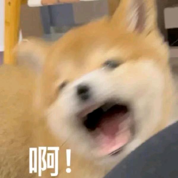 蒙E.呼伦贝尔小智
